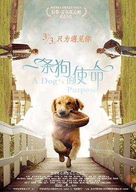午夜精品视频在线看